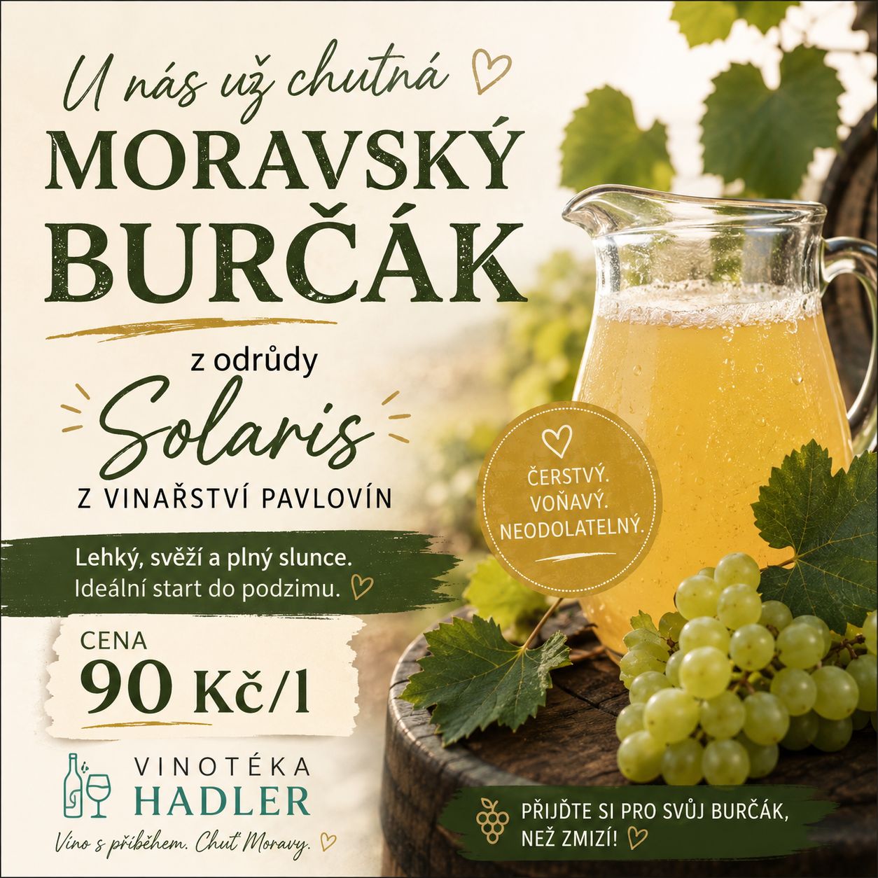 Moravský burčák Solaris - Vinařství Pavlovín